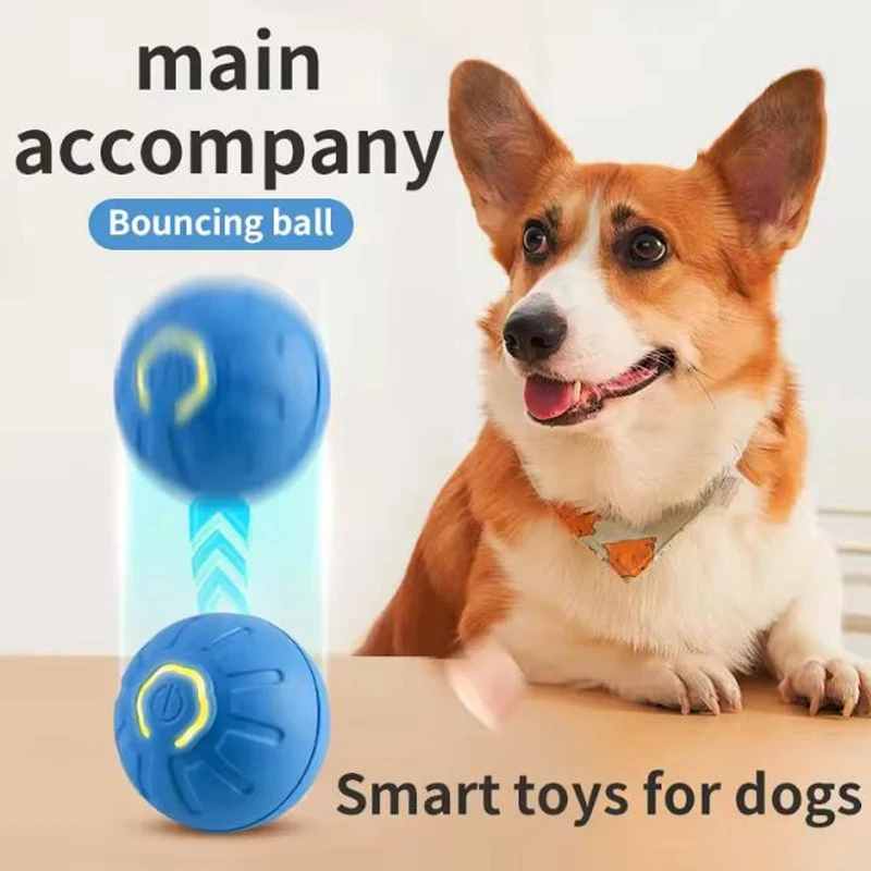 Inteligentna interaktywna piłk – Automatic Moving Dog Ball recenzja i cena