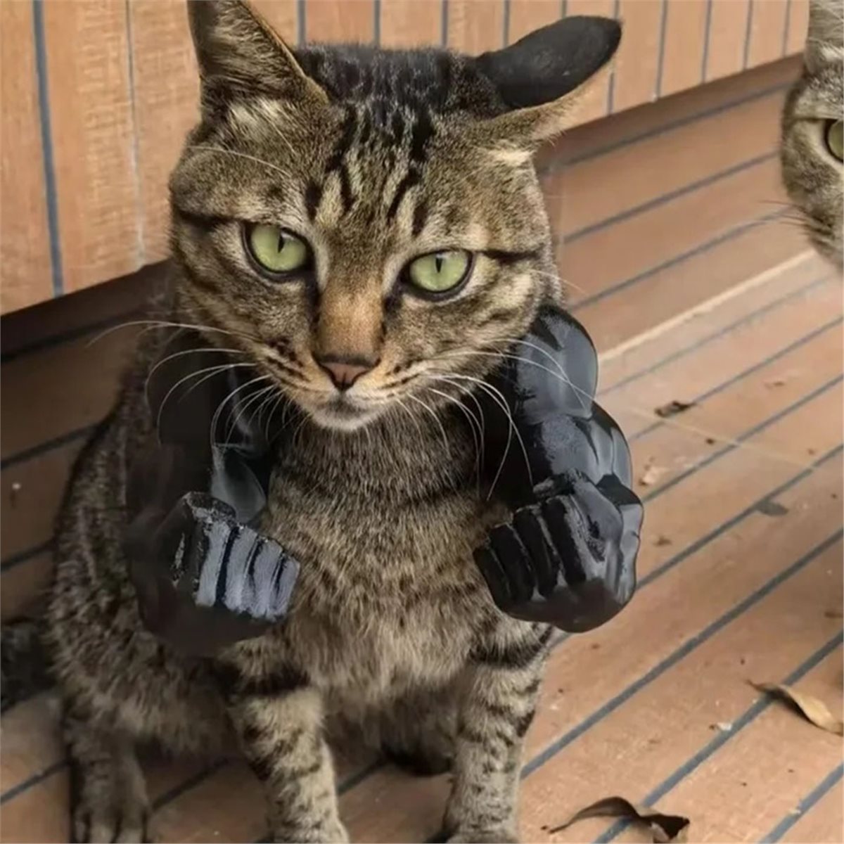 Nowy Zawieszka Mięśniowa Ręka  – Cat Toys recenzja i cena